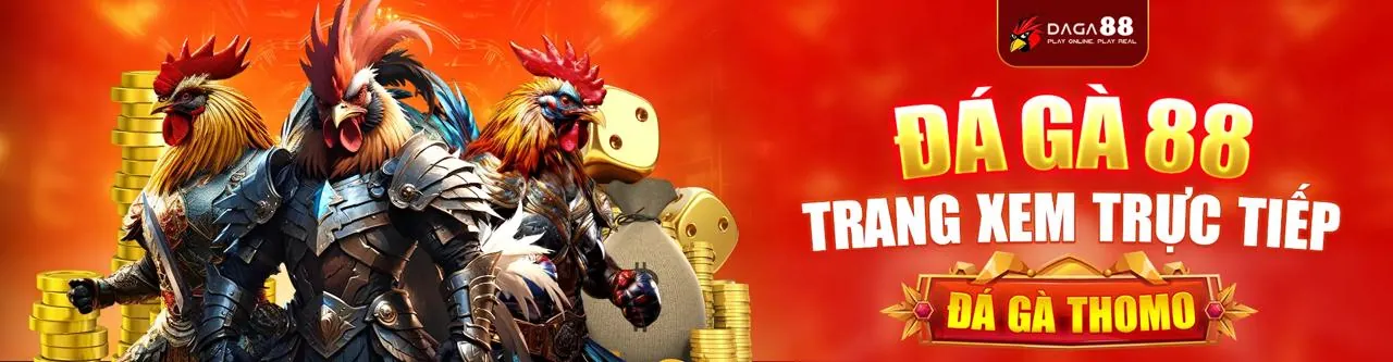 Trải nghiệm đá gà trực tuyến kịch tính tại f18678 login 2026